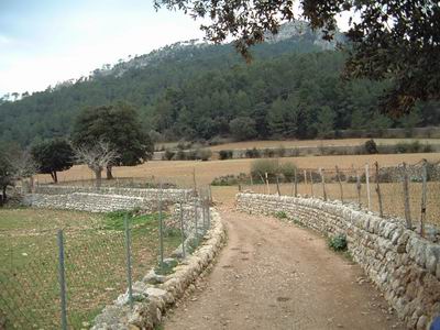 DSCF0078.JPG